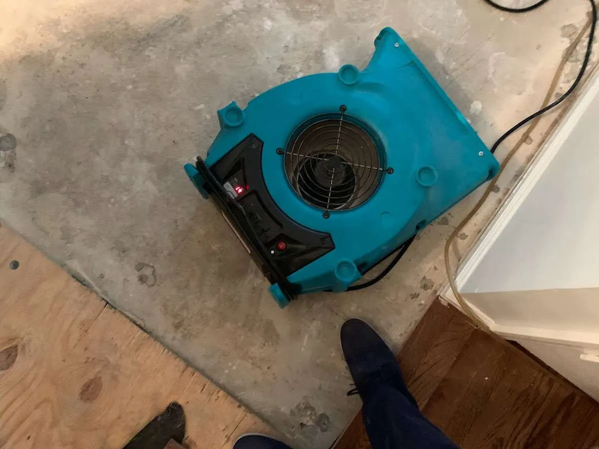 Air mover drying subfloor during Commercial Water Damage Restoration in New Orleans