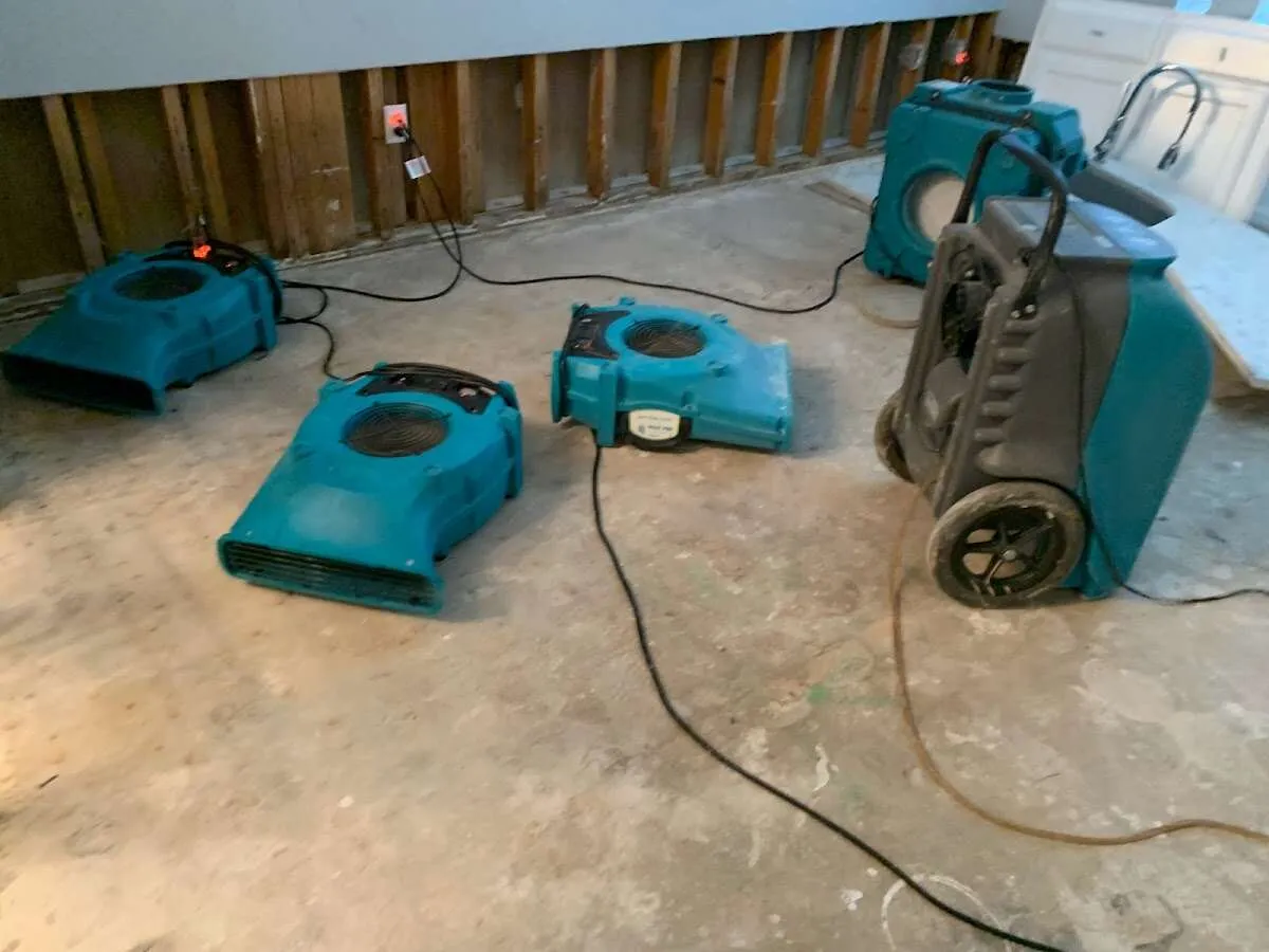 Basement Flood Cleanup in New Orleans, LA